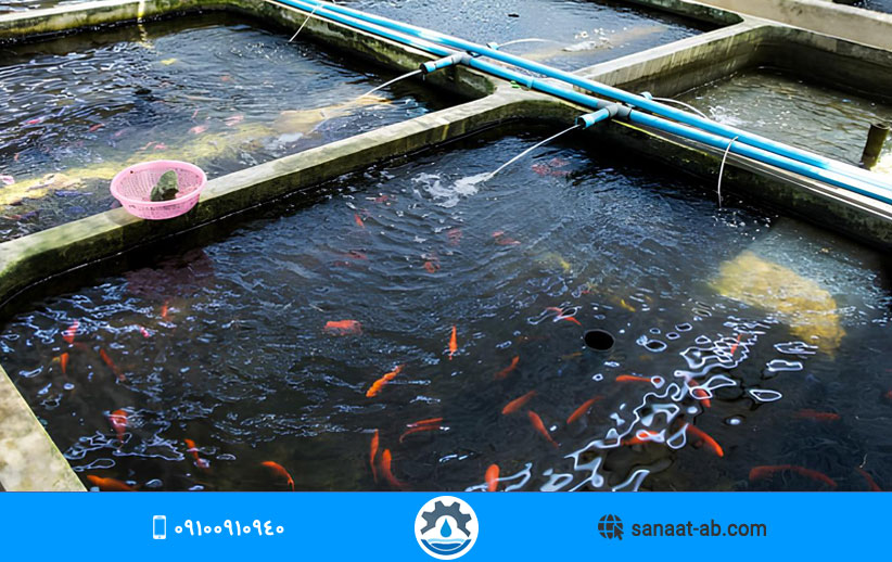تصفیه آب استخر پرورش ماهی
