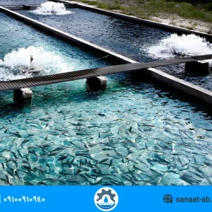 نظافت استخر پرورش ماهی